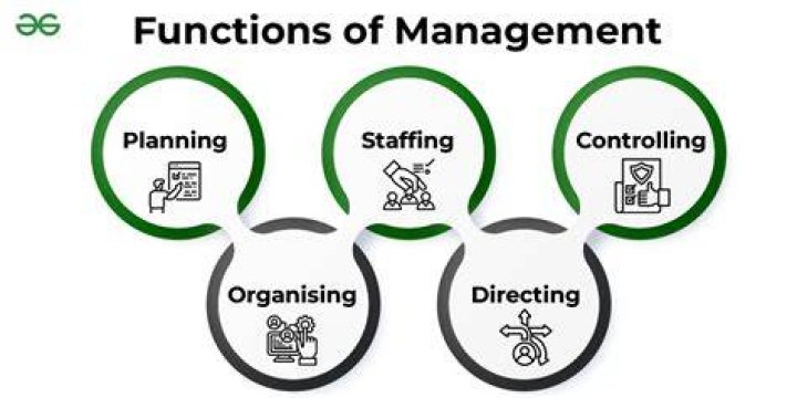What are the disadvantages of Organising a business by function?
