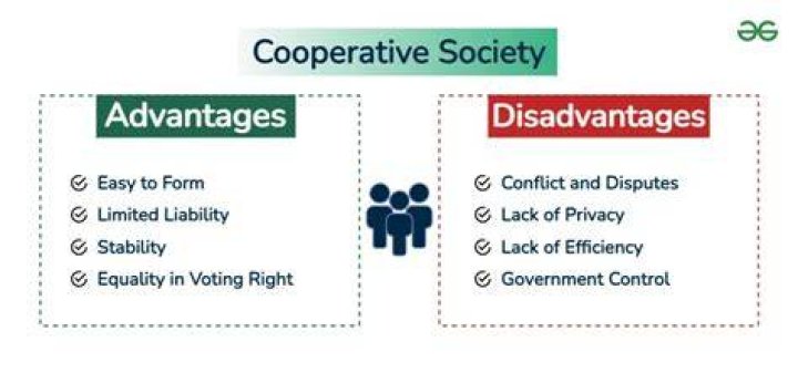 What are the disadvantages of the cooperative?