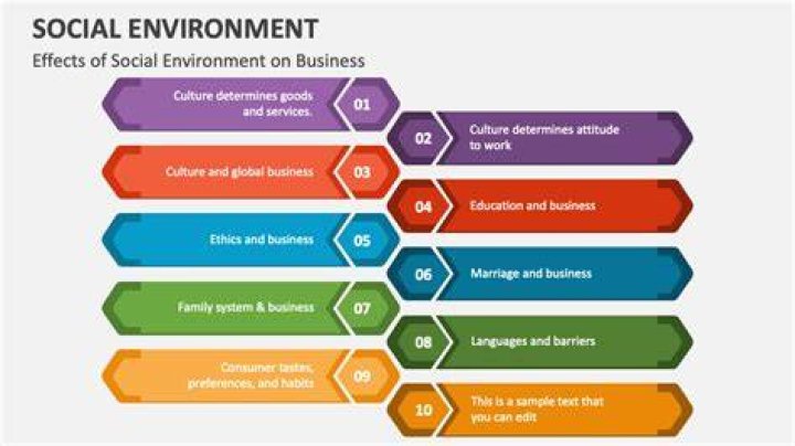 What are the effects of social environment on business?