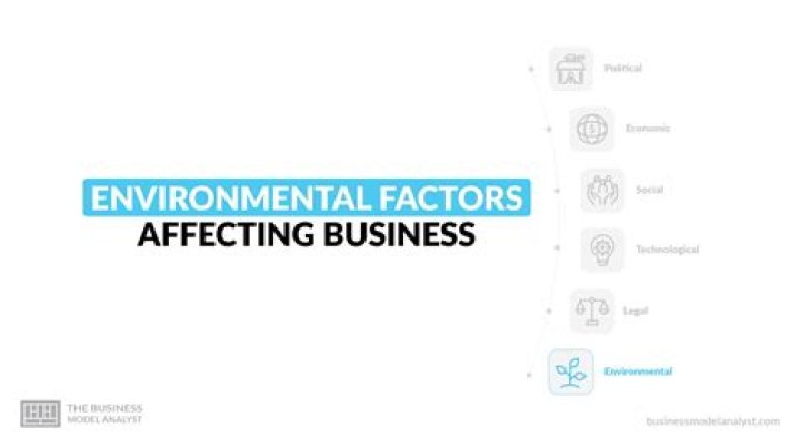 What are the environmental factors responsible in international business?