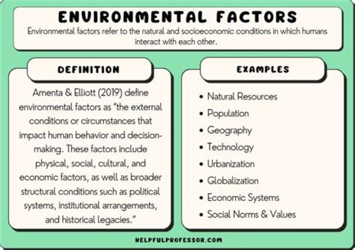 What are the environmental factors that Apple is facing now?