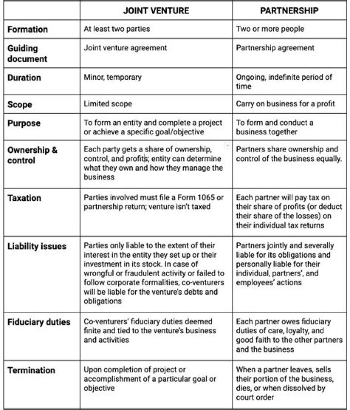 What are the example of joint ventures?