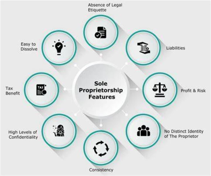 What are the examples of common sole proprietors?