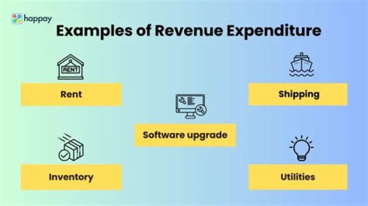 What are the examples of revenue expenses?