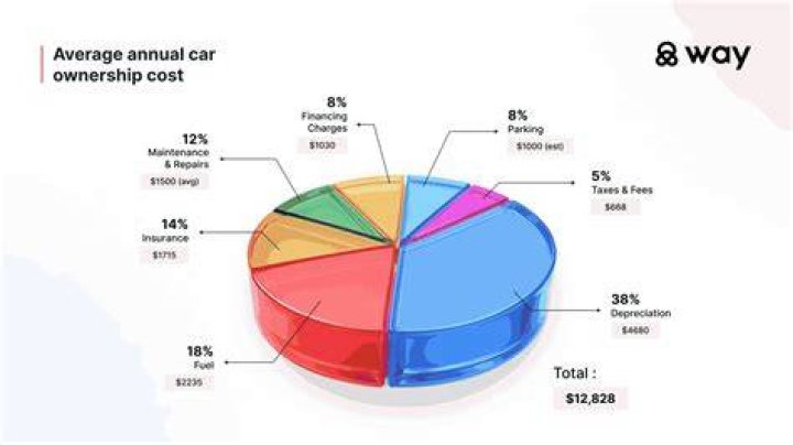 What are the first year costs of owning a car?
