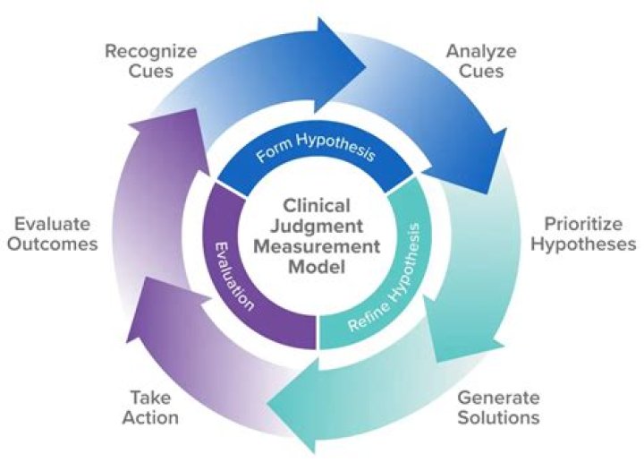 What are the five elements of an effective professional judgment process?