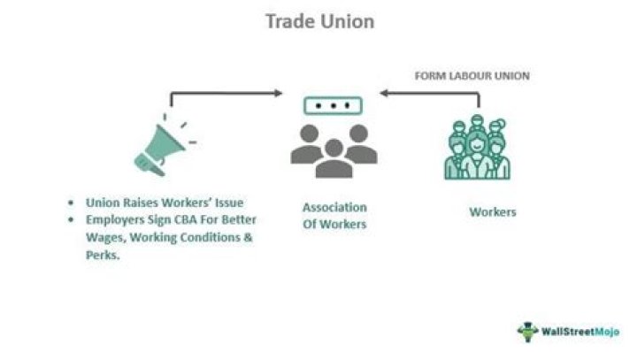 What are the functions of trade association?