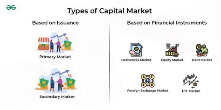 What are the instruments used in the capital market?