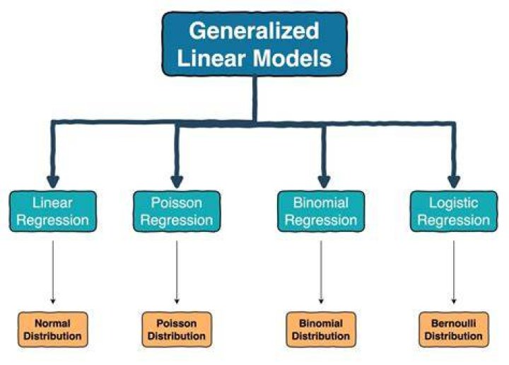 What are the linear programming models?