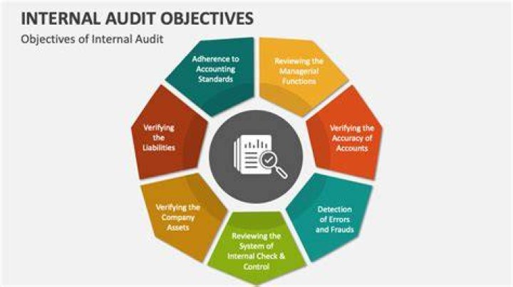 What are the main audit objectives?