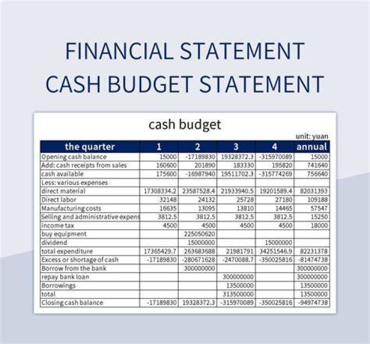What are the main functions of a cash budget?
