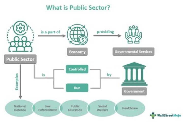 What are the main reasons for the existence of the public sector?