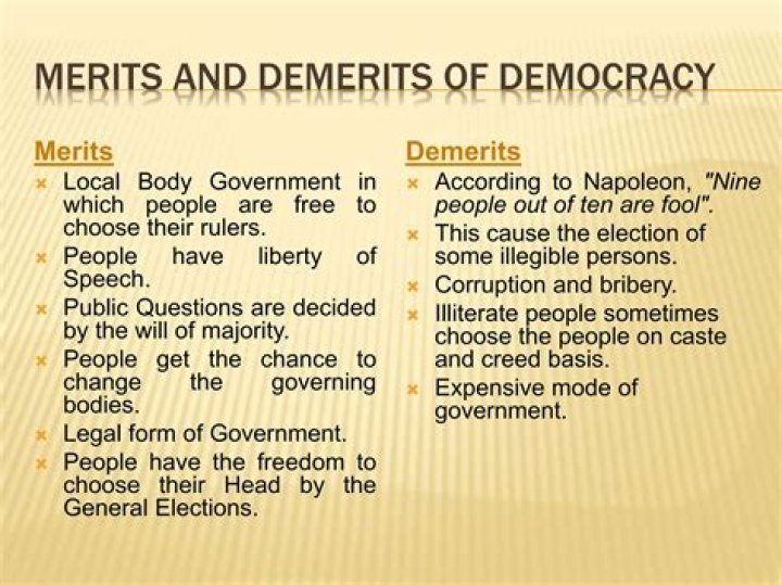What are the merits and demerits of public corporation?