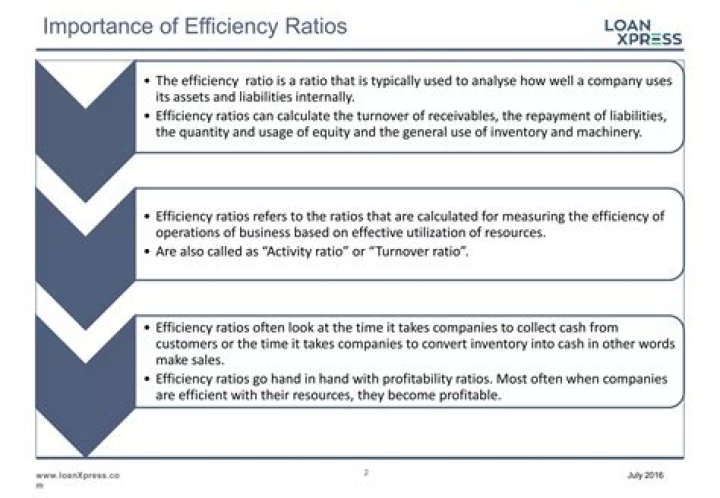 What are the most important efficiency ratios?
