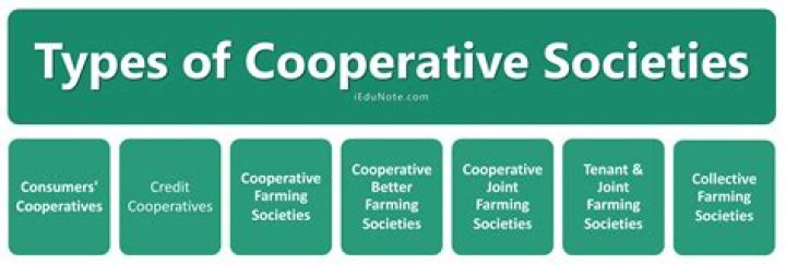 What are the objective of cooperative society?