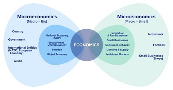 What are the principles of microeconomics?