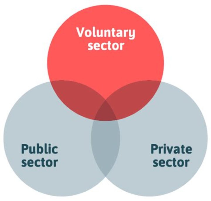 What are the private sector involved in tourism?
