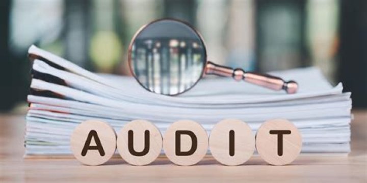 What are the purposes of auditing?