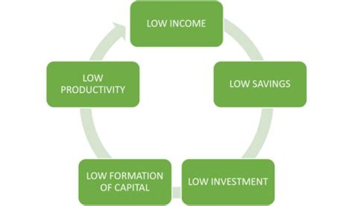 What are the reason for low capital formation in Nigeria?