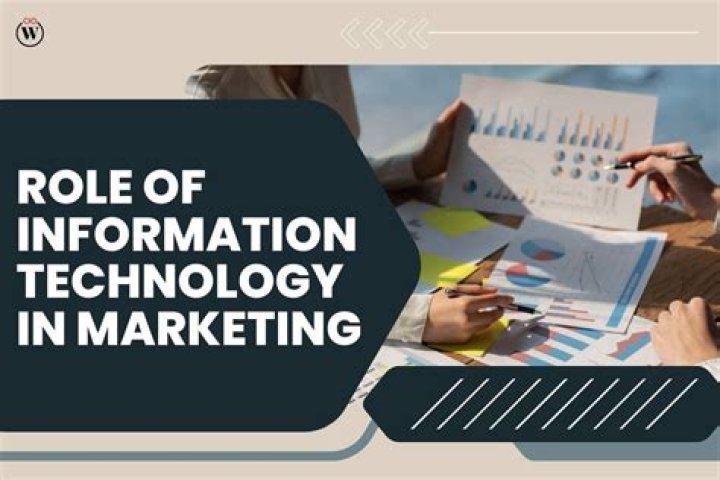 What are the role of information technology in business?
