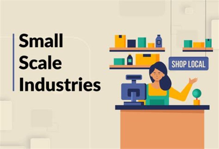 What are the roles of small scale business?