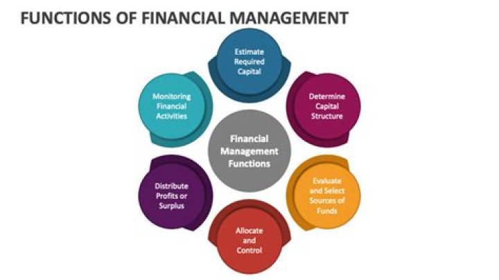 What are the rules and functions of a financial manager?