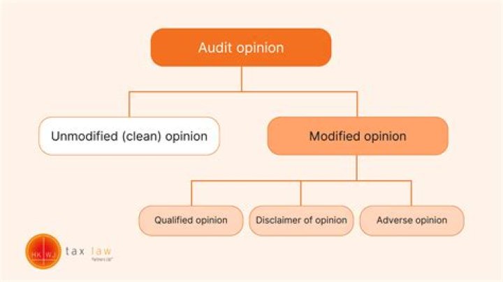 What are the three types of audit opinion?