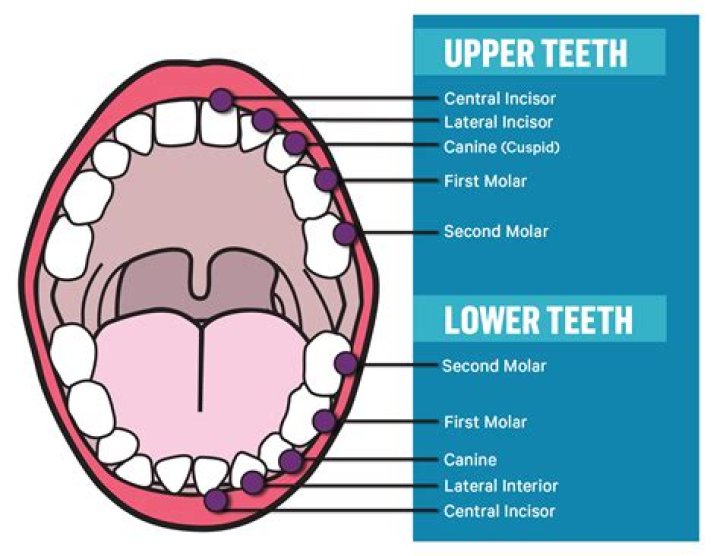 What are the two functional areas?