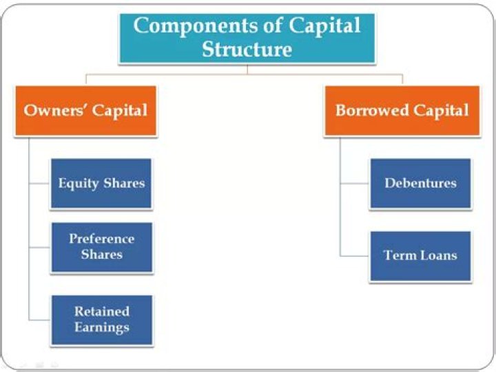 What are the two major sources of capital for any business?