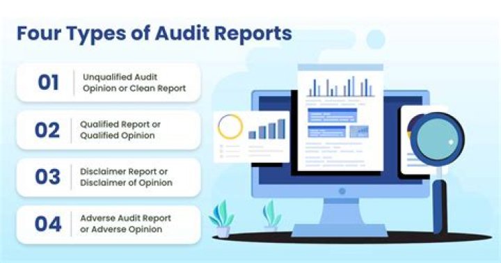 What are the types of audit report?