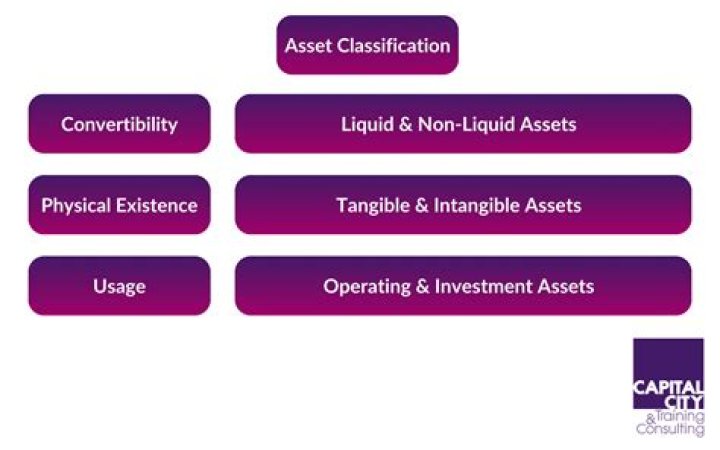 What are the types of capital assets?