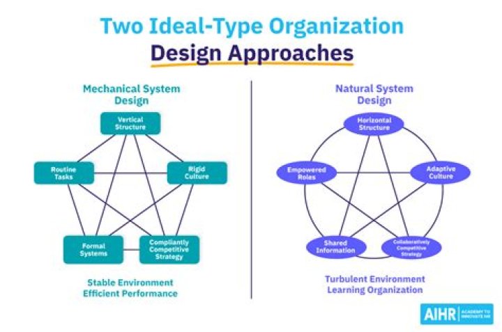 What are the types of organizational design?