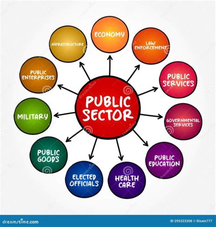 What are the types of public enterprises?