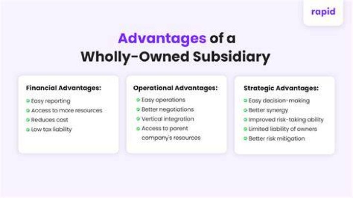 What are three advantages of a wholly owned subsidiary?