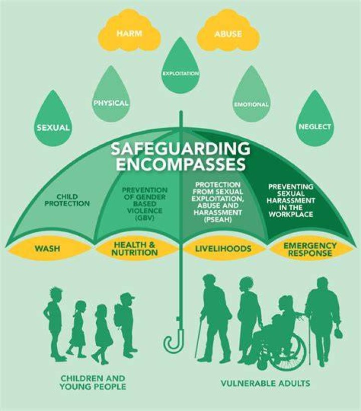 What are WTO safeguards?