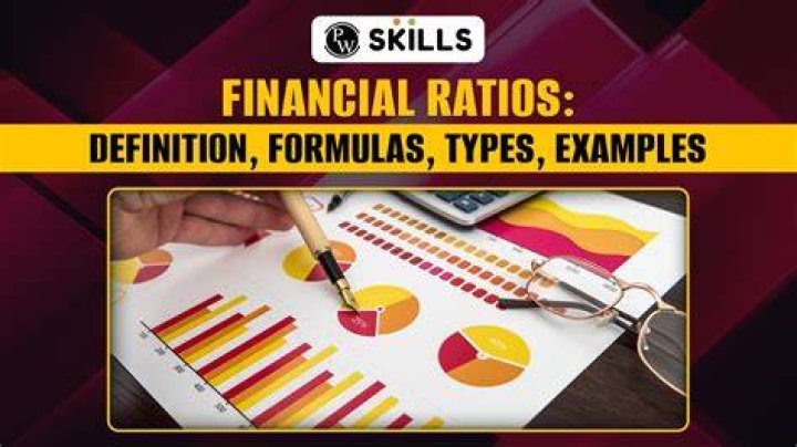 What can you learn from financial ratios?