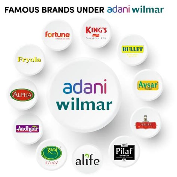 What comes under Adani Enterprises?