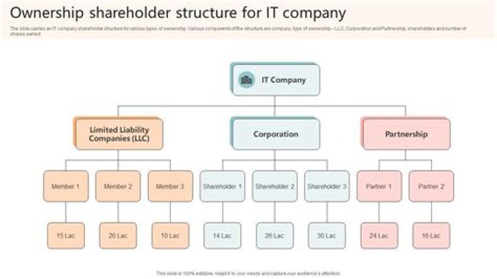 What companies are owned by shareholders?