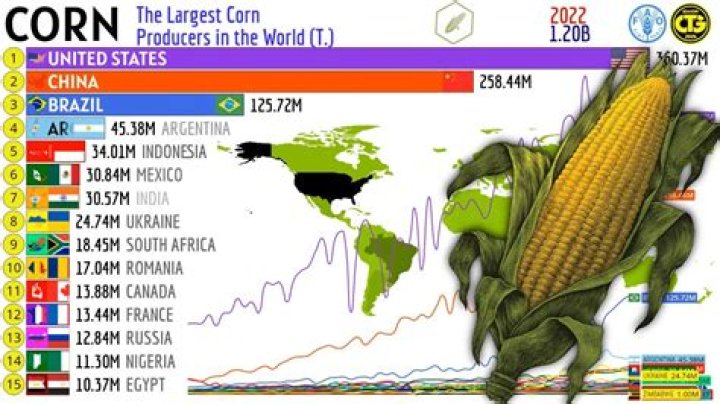 What country produces the most corn in the world?