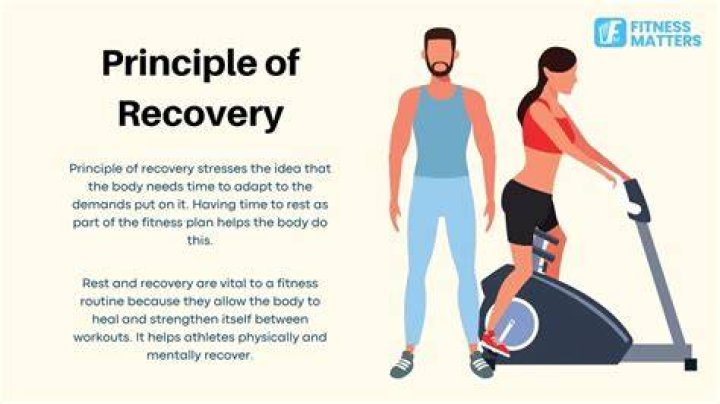 What description best matches the alternative fitness principle of recovery?