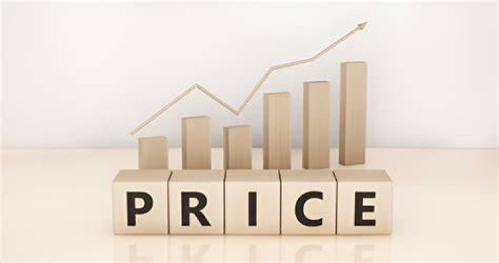 What determines the price of a shoe?
