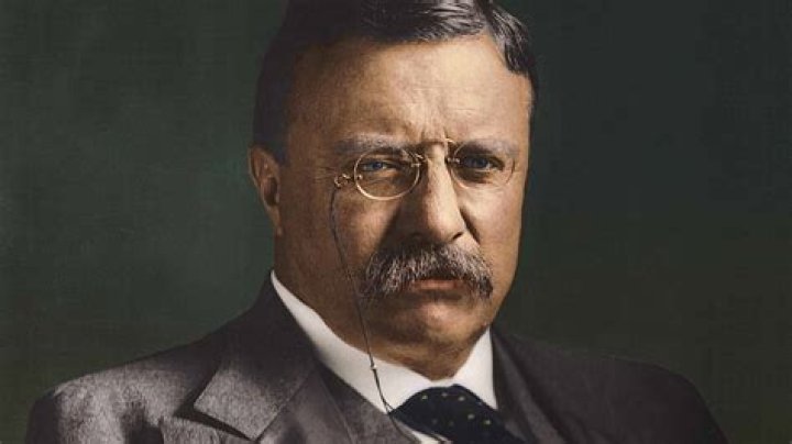 What did Theodore Roosevelt contribute?