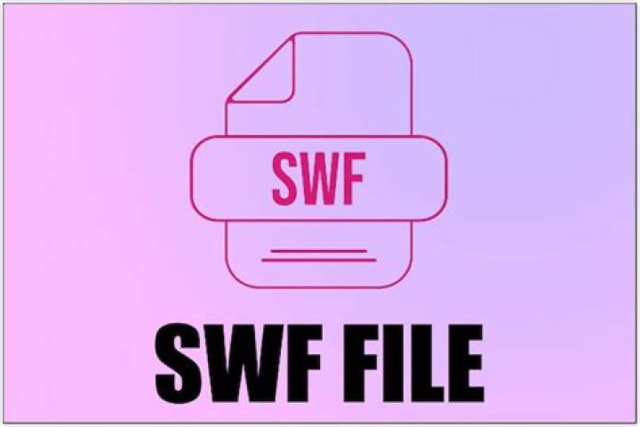 What dies SWF mean?