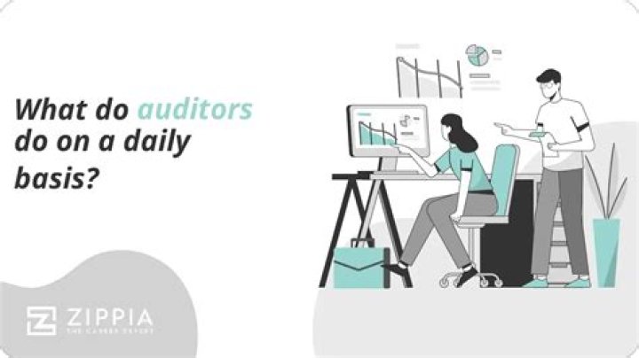 What do auditors do on a daily basis?