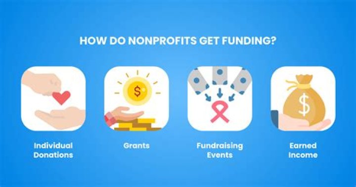 What do nonprofits do with surplus?