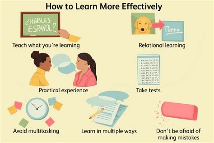 What do you learn in an MIS class?