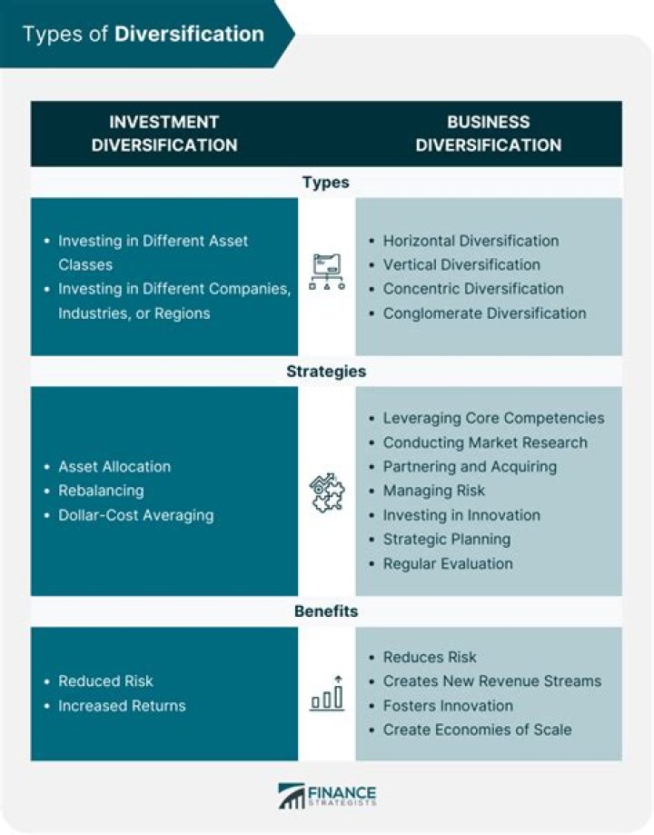 What do you mean by diversification?