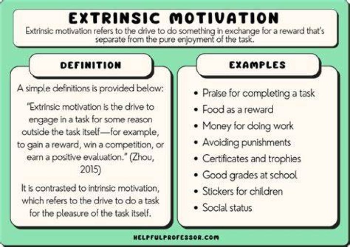 What do you mean by expectation theory?