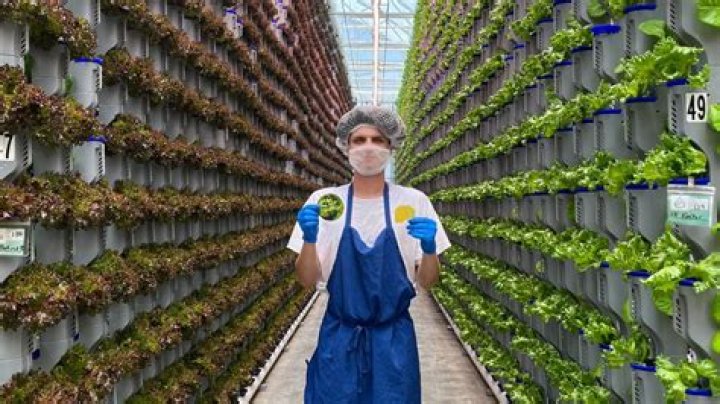 What does a agricultural sales representative do?