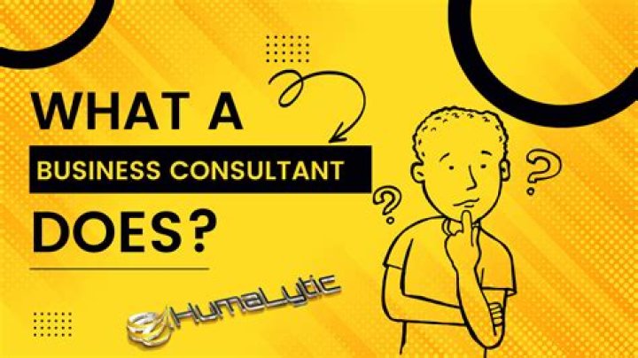 What does a business consultant do?